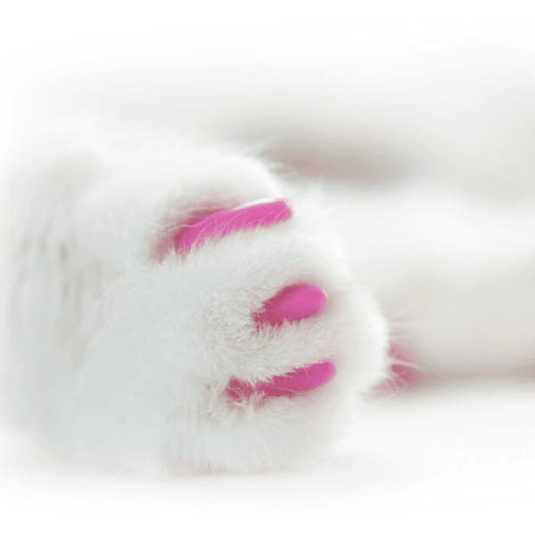 SoftPaws Silicone Cat Nail Caps