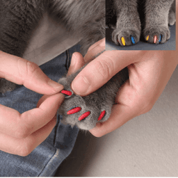 SoftPaws Silicone Cat Nail Caps