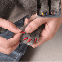 SoftPaws Silicone Cat Nail Caps