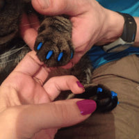 SoftPaws Silicone Cat Nail Caps