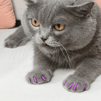 SoftPaws Silicone Cat Nail Caps