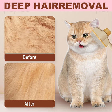 Transform Grooming into Joyful Moments