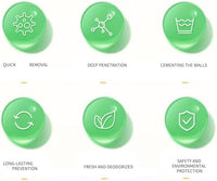 Wall Mold Remover Spray