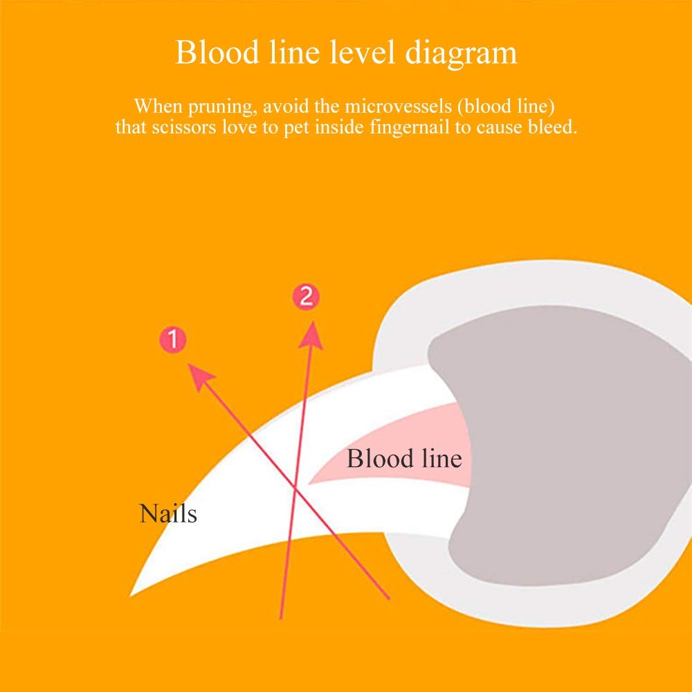 LED Light Nail Clippers for Pets