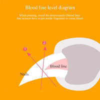 LED Light Nail Clippers for Pets