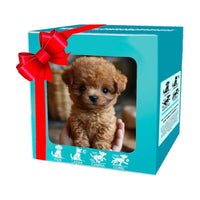 Realistic Robotic Puppies,