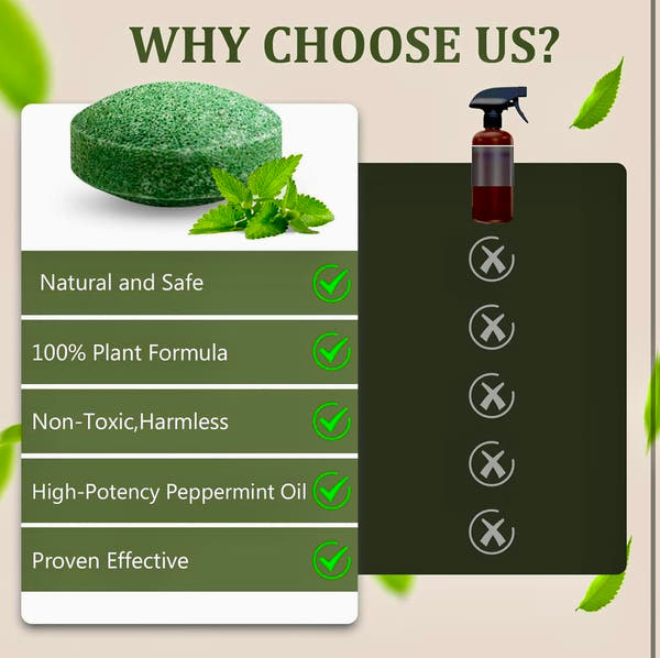 Peppermint Oil Rat Repellent Balls for Home | Pack of 24
