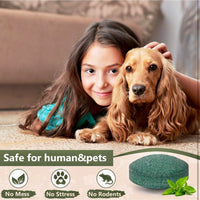 Peppermint Oil Rat Repellent Balls for Home | Pack of 24