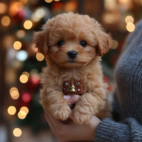 Realistic Robotic Puppies,