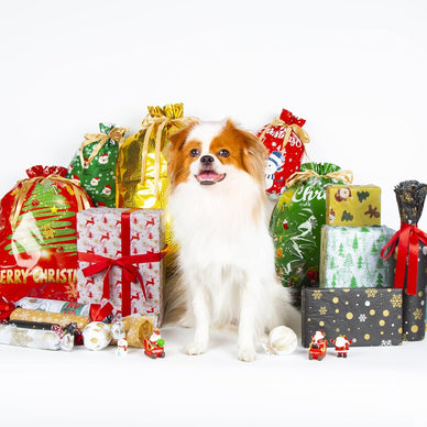 Transform Holidays with Joyful Surprises