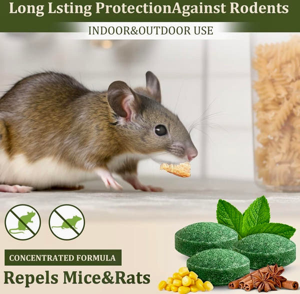 Peppermint Oil Rat Repellent Balls for Home | Pack of 24