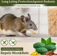 Peppermint Oil Rat Repellent Balls for Home | Pack of 24