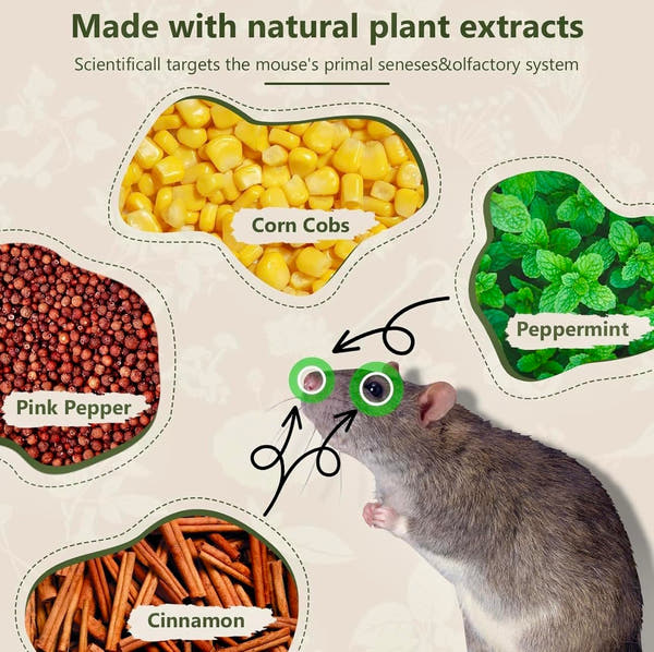 Peppermint Oil Rat Repellent Balls for Home | Pack of 24