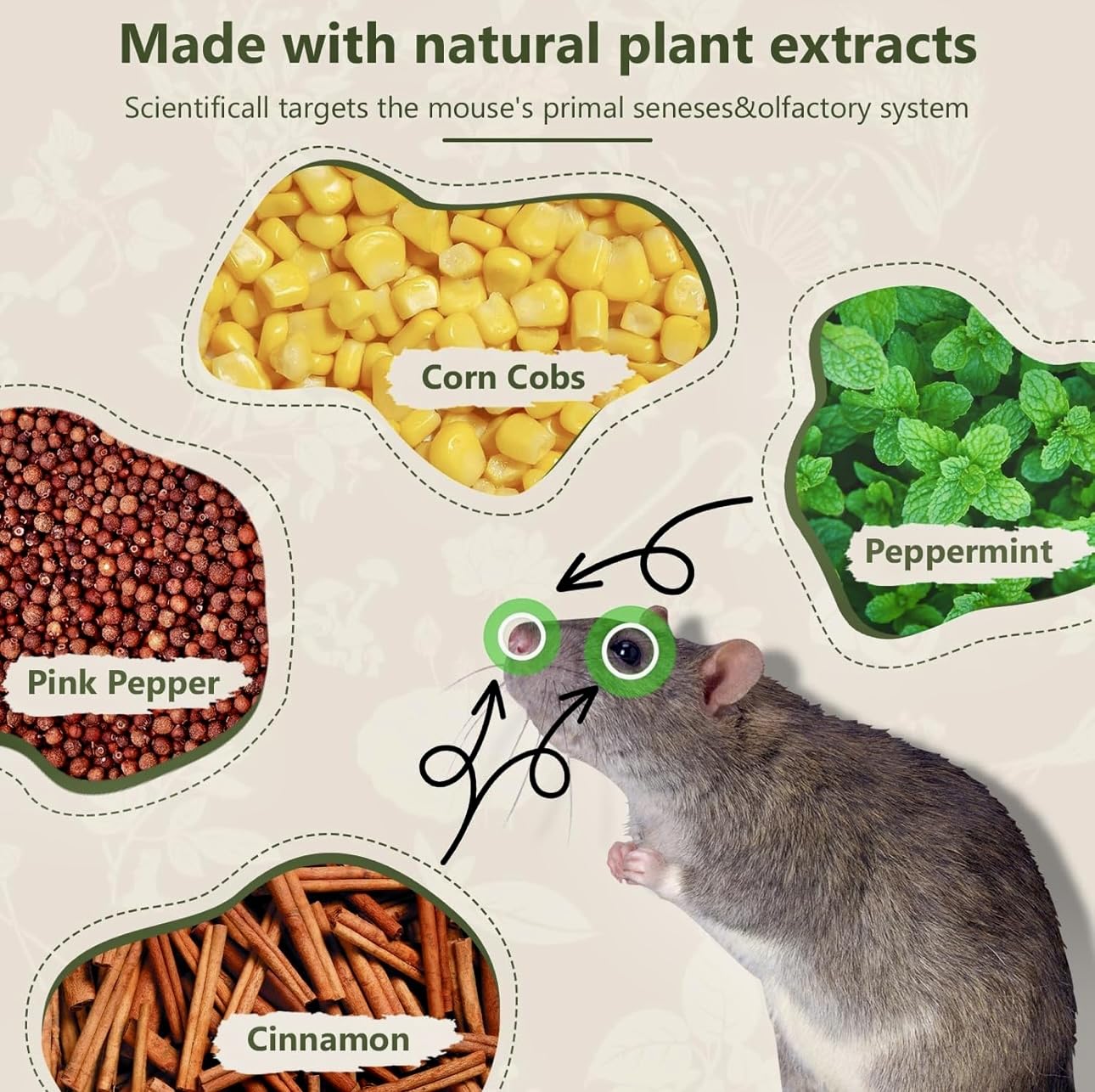 Peppermint Oil Rat Repellent Balls for Home | Pack of 24