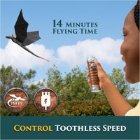 Flying Toothless Toy