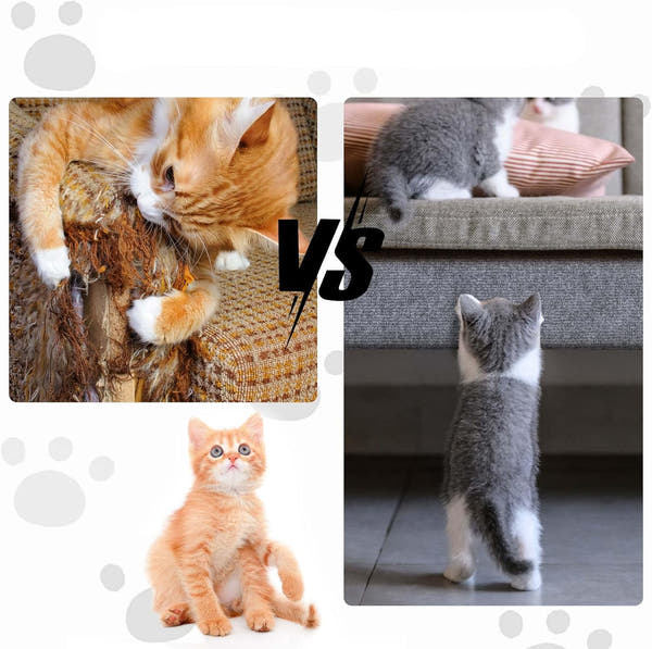 Cat Scratching Protector