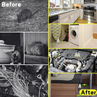 Rodent & Mice Repellent,Squirrel Repellent,Indoor and Outdoor