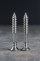 Stainless Steel Screw Type Earrings