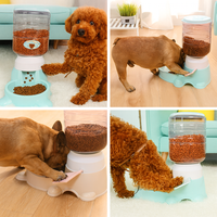 Automatic Pet Feeder