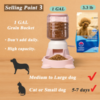 Automatic Pet Feeder