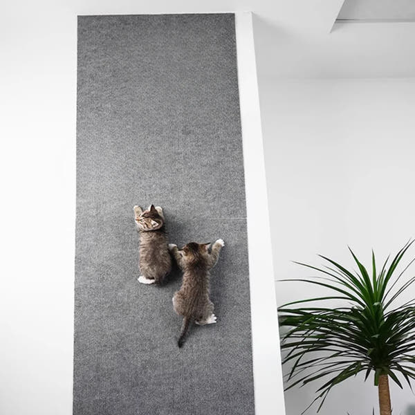 CAT MAT