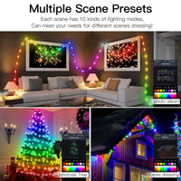 Smart RGB Led Christmas Lights (10 Meter)