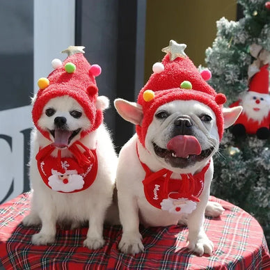 Transform Your Pet's Holiday Spirit