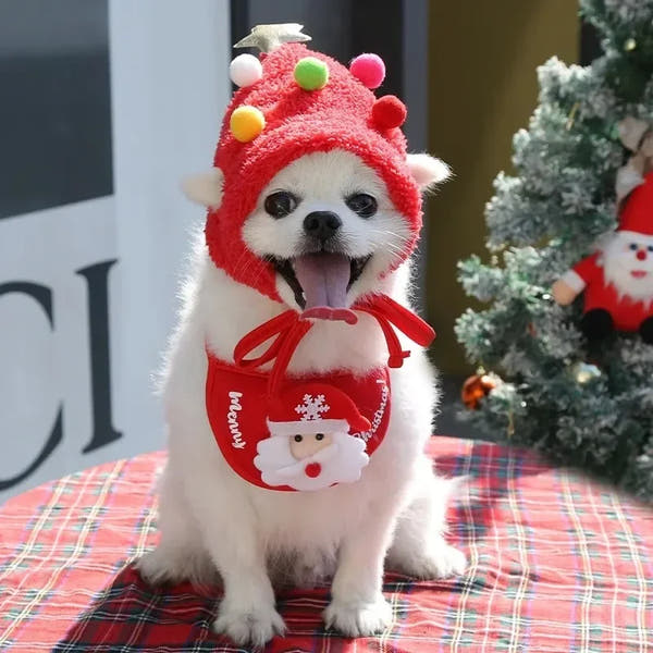 Christmas Cute Hat and Towel For Pets