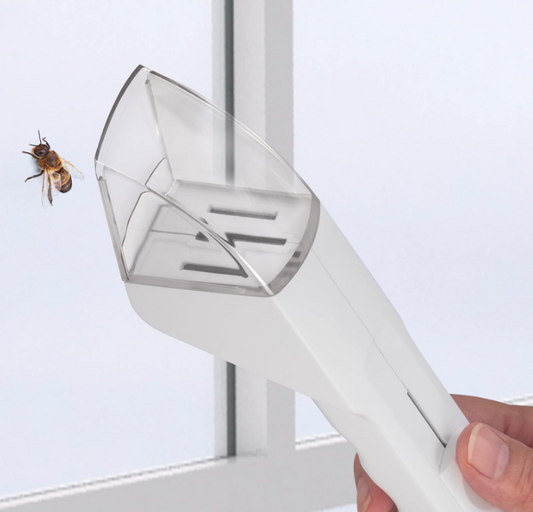 Humane Insect Catcher