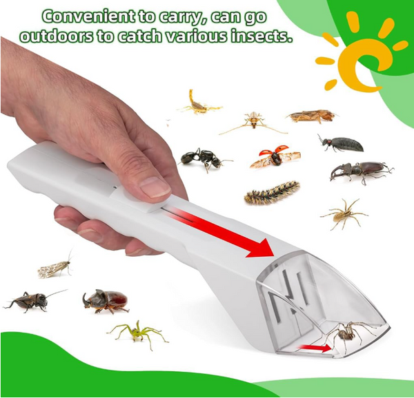Humane Insect Catcher