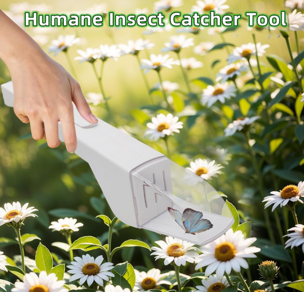 Humane Insect Catcher