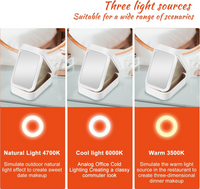 Lighted Makeup Bag with Mirror