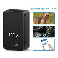 Mini GPS Tracker