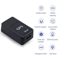 Mini GPS Tracker