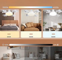 Drone Ceiling Fan Light