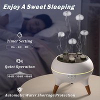 Rain Cloud Essential Oil Diffuser