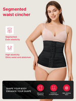 Segmented Waist Cincher