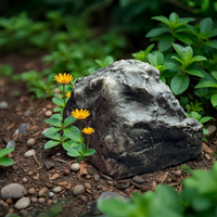 The Secret Spare Key Rock