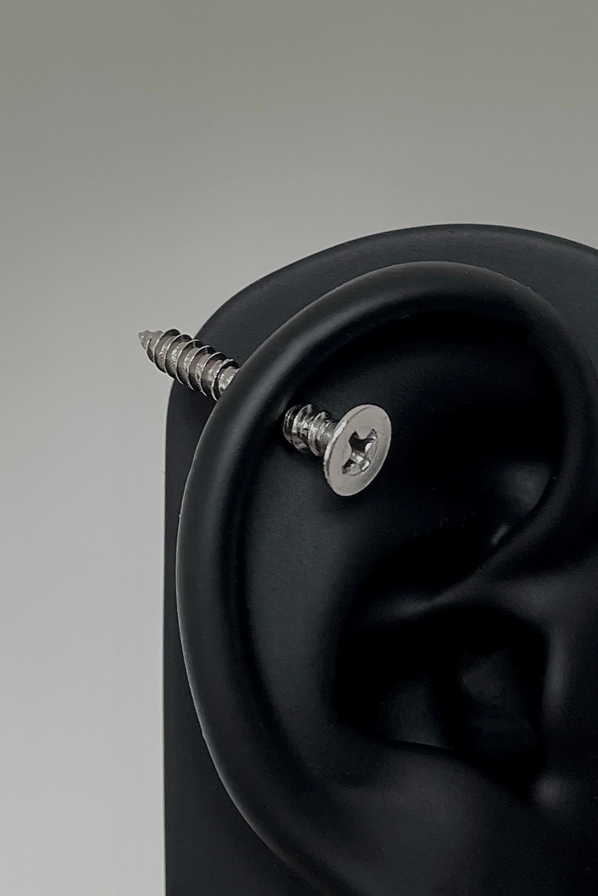 Stainless Steel Screw Type Earrings