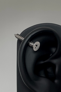 Stainless Steel Screw Type Earrings