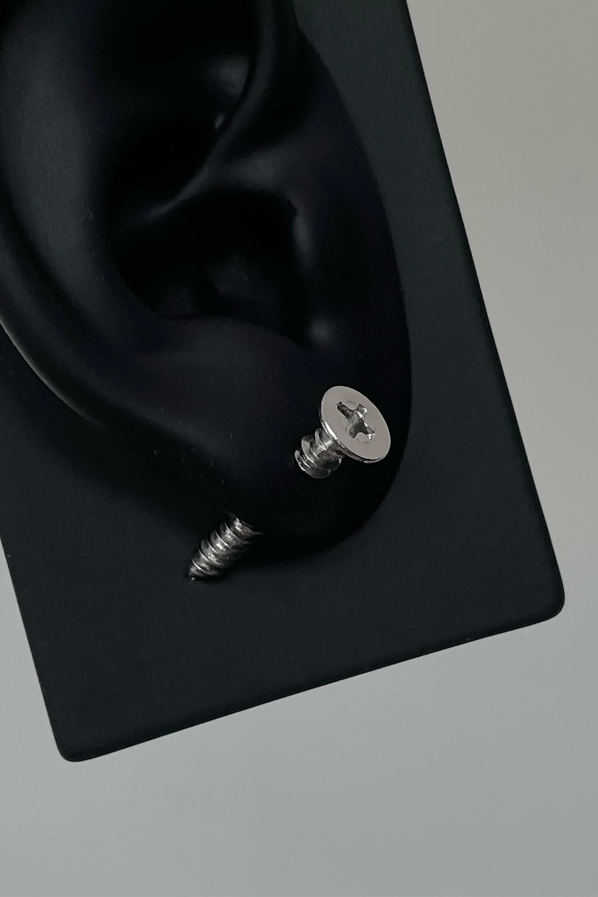 Stainless Steel Screw Type Earrings
