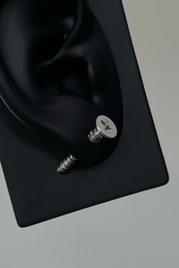 Stainless Steel Screw Type Earrings