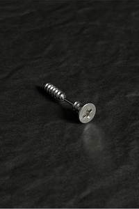 Stainless Steel Screw Type Earrings