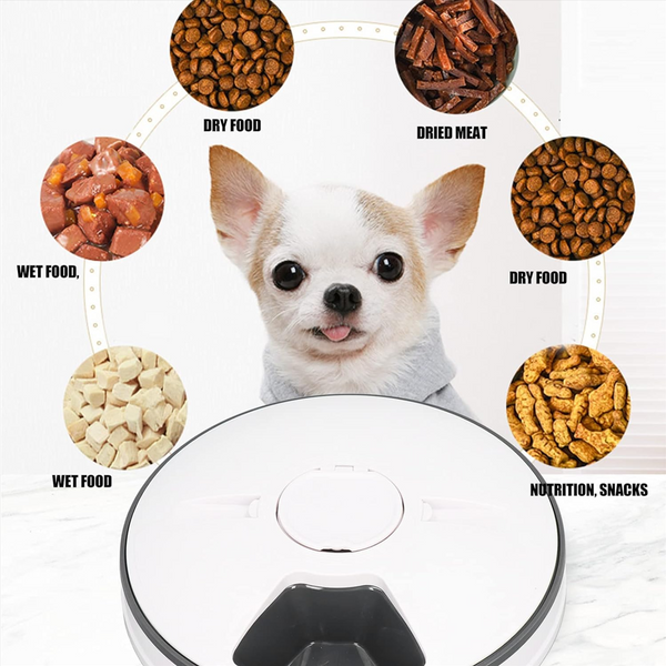 Automatic Pet Feeder