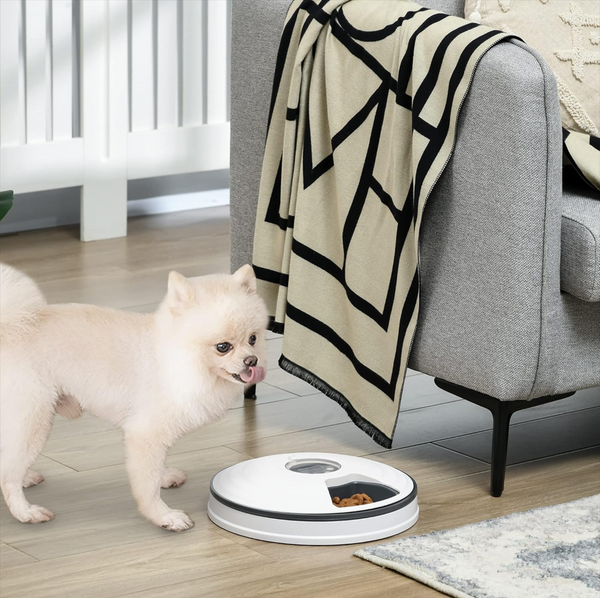 Automatic Pet Feeder