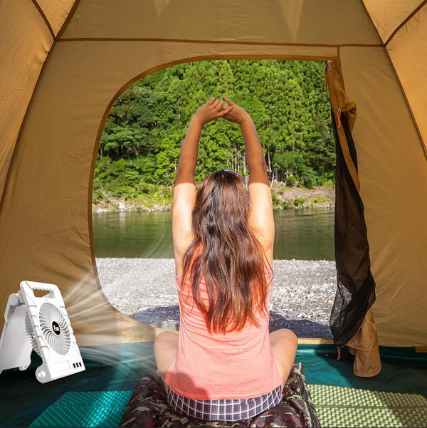 Portable Solar Rechargeable Fan