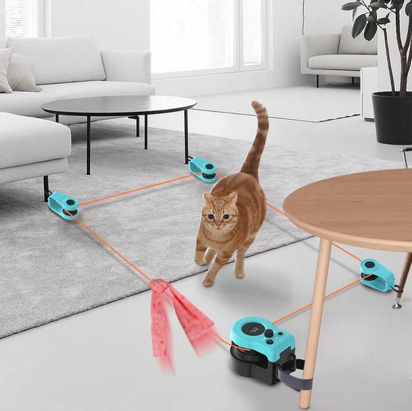 Interactive Cat Treadmill Toy