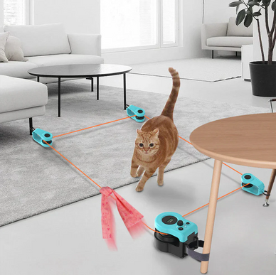 Elevate Your Cat’s Happiness Today