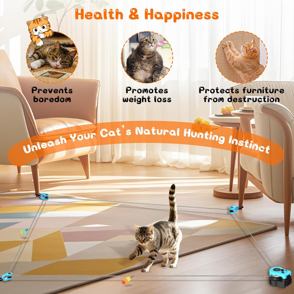 Interactive Cat Treadmill Toy