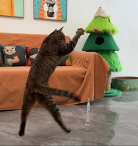 Automatic Wand Toy For cats